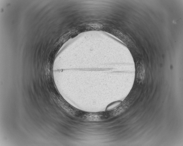 X0000085740518200704131648