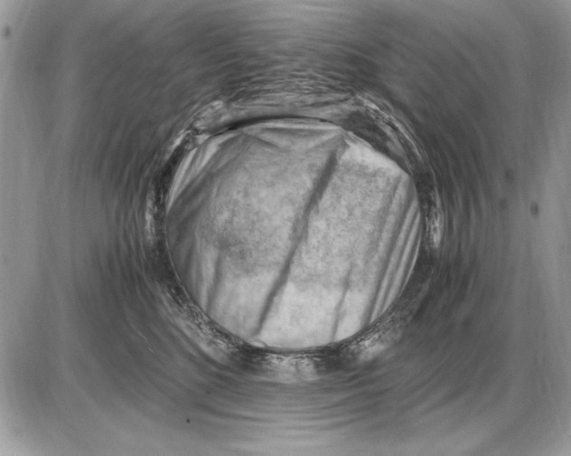 X0000085740520200704131648