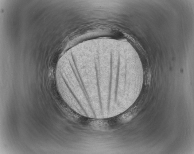 X0000085740521200704131648