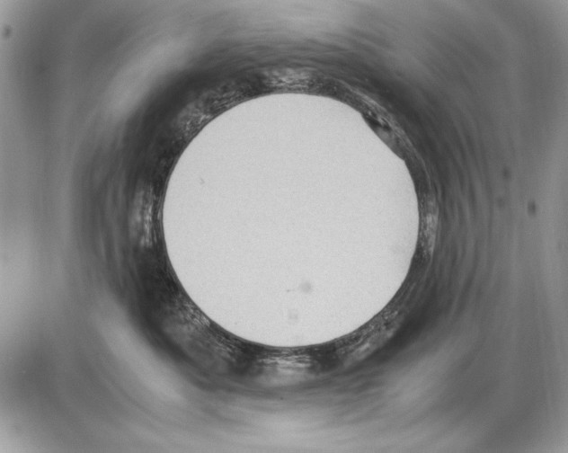 X0000085740525200704131648