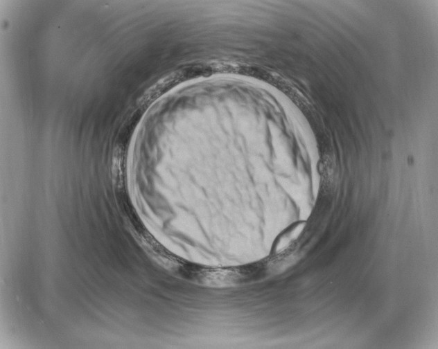X0000085740527200704131648