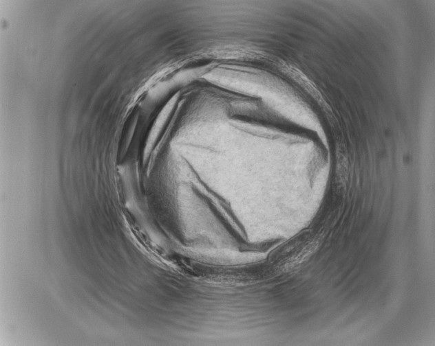 X0000085740530200704131647