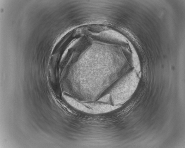 X0000085740532200704131647