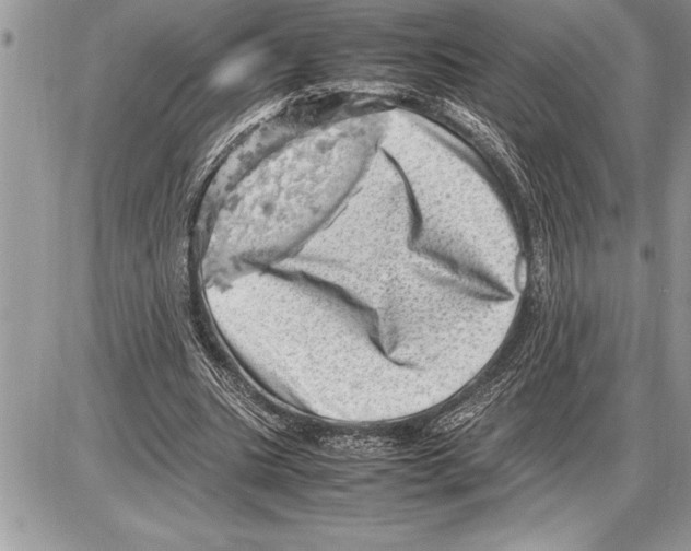X0000085740535200704131647