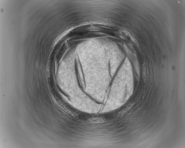 X0000085740536200704131647