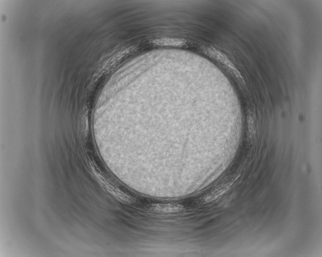 X0000085740541200704131647