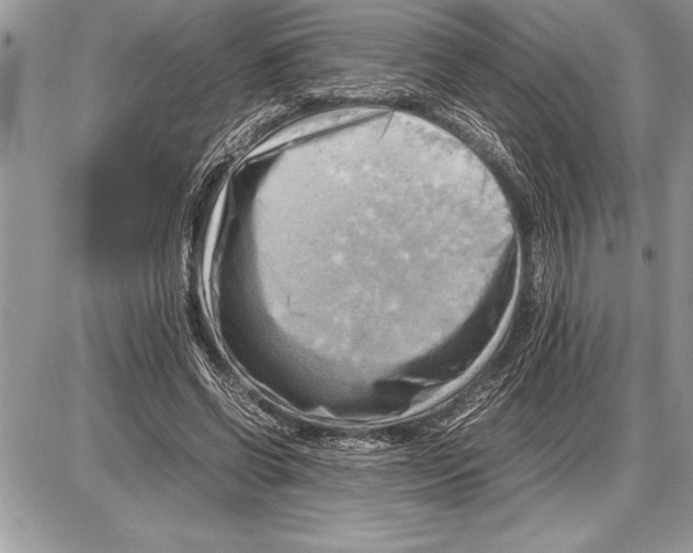 X0000085740542200704131647