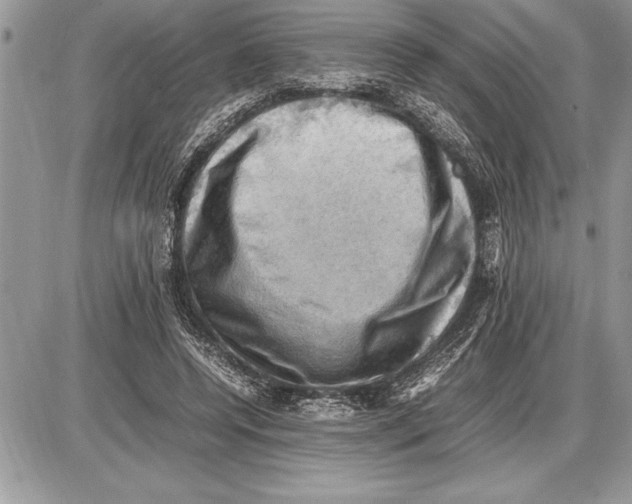 X0000085740544200704131647