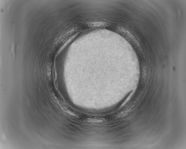 X0000085740545200704131647
