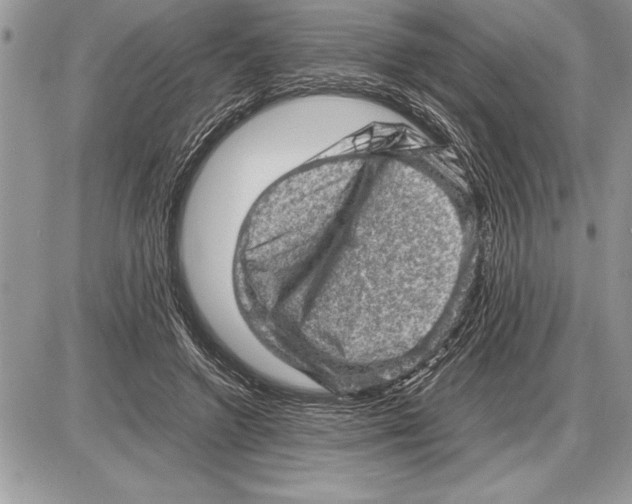 X0000085740546200704131647
