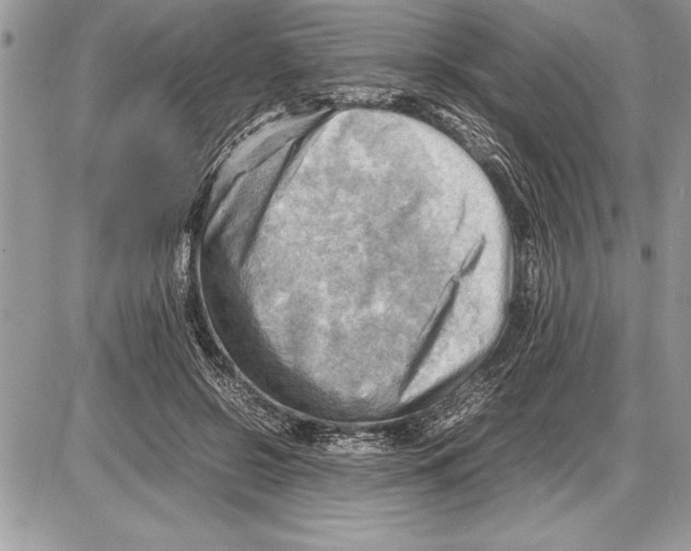 X0000085740550200704131647