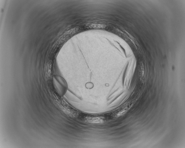 X0000085740553200704131647