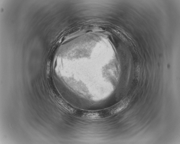 X0000085740554200704131647