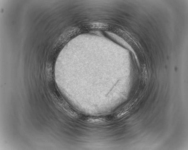 X0000085740557200704131648