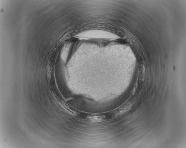 X0000085740558200704131648