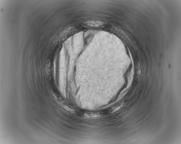 X0000085740559200704131648