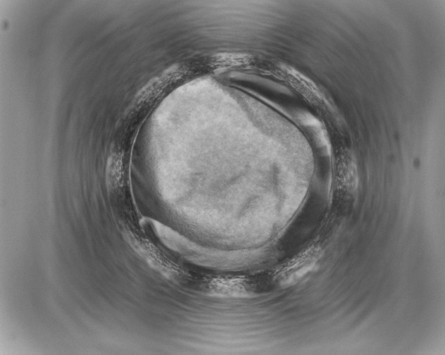 X0000085740560200704131648
