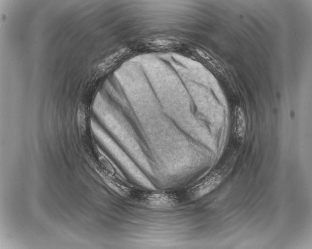 X0000085740562200704131648