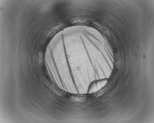X0000085740563200704131648