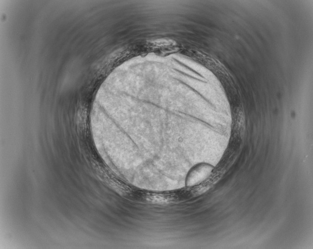 X0000085740565200704131648