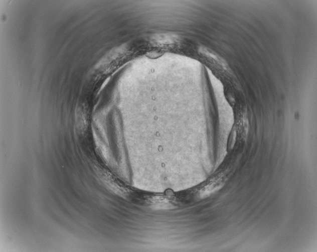 X0000085740566200704131648