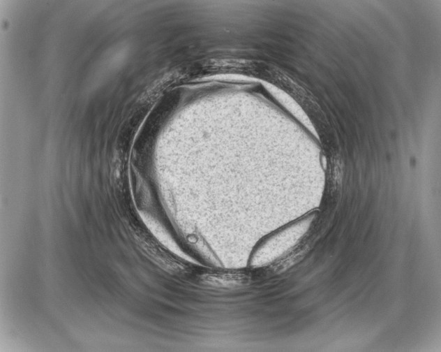 X0000085740567200704131648