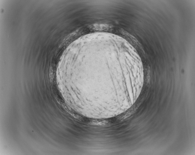 X0000085740569200704131648