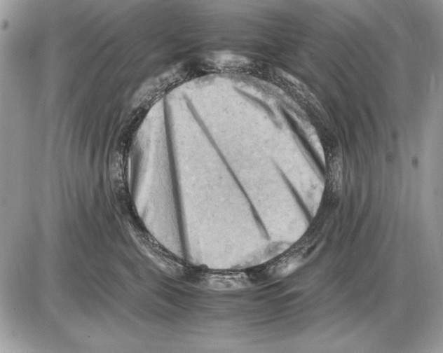 X0000085740571200704131648