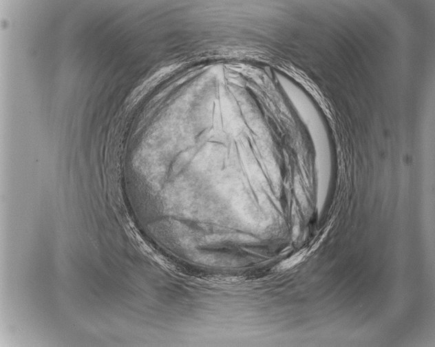 X0000085740577200704131647