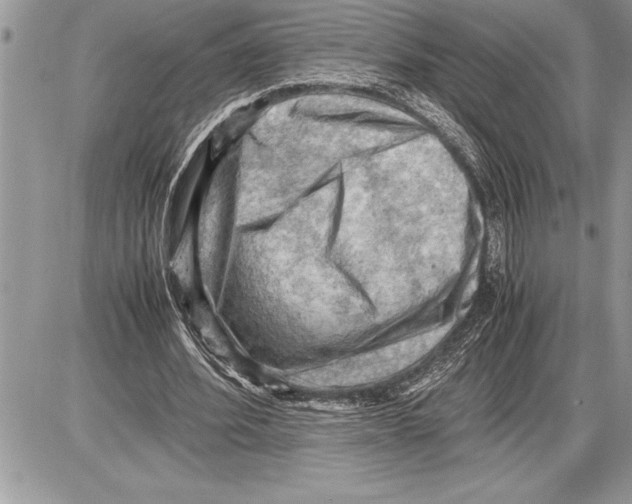 X0000085740580200704131647