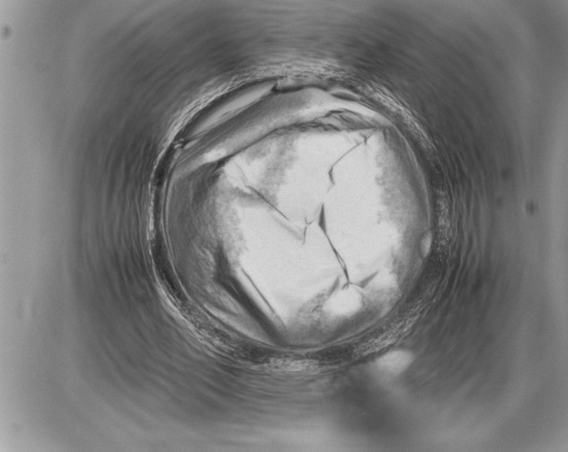 X0000085740582200704131647