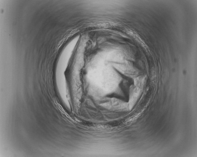 X0000085740585200704131647