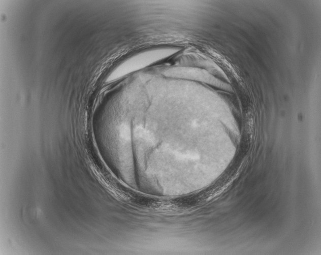 X0000085740589200704131647