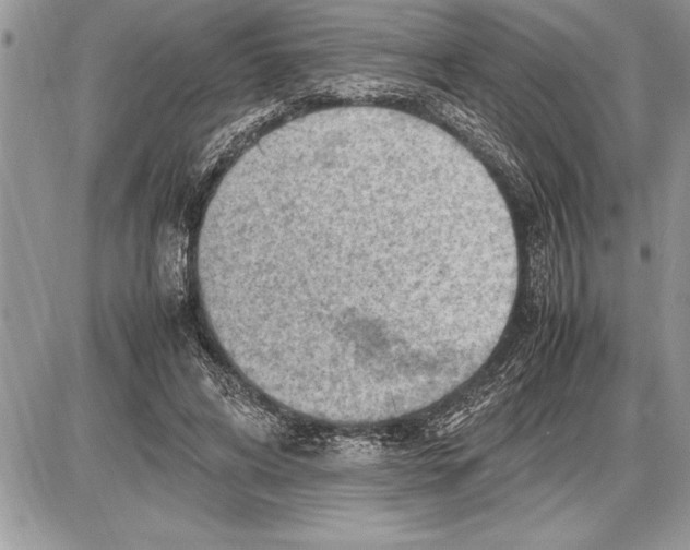 X0000085740592200704131647