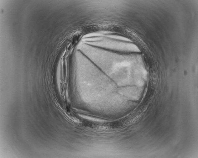 X0000085740593200704131647