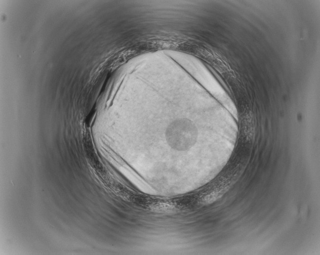 X0000085740594200704131647