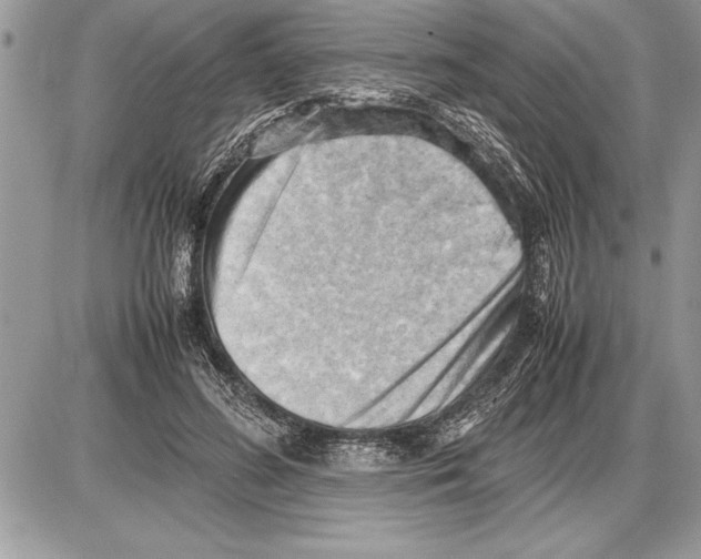 X0000085740596200704131647