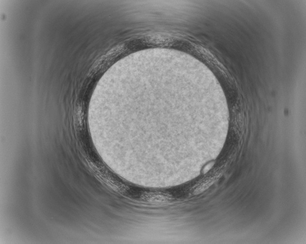 X0000085740597200704131647