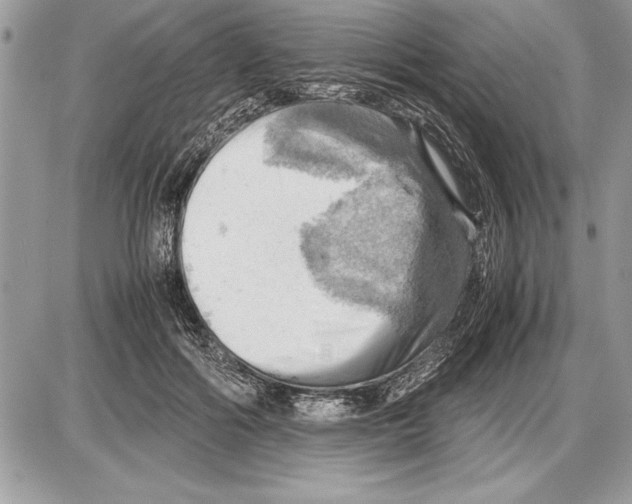 X0000085740602200704131647