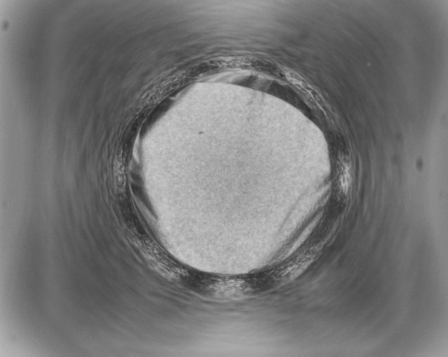 X0000085740609200704131647