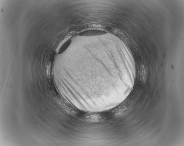 X0000085740610200704131646