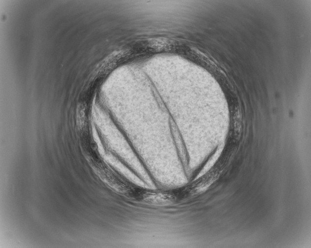 X0000085740611200704131646