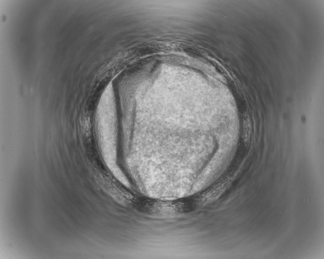 X0000085740613200704131646