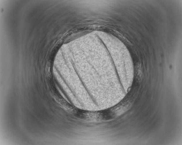 X0000085740615200704131646