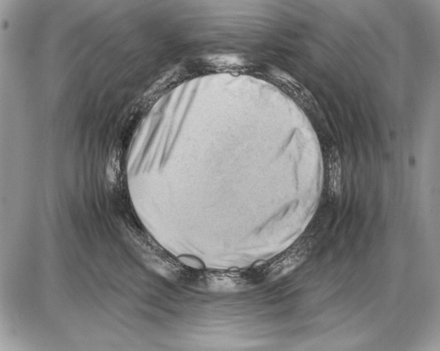 X0000085740618200704131646