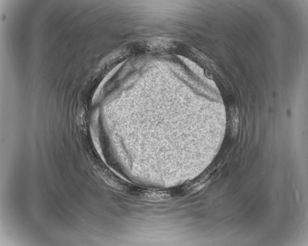 X0000085740619200704131646