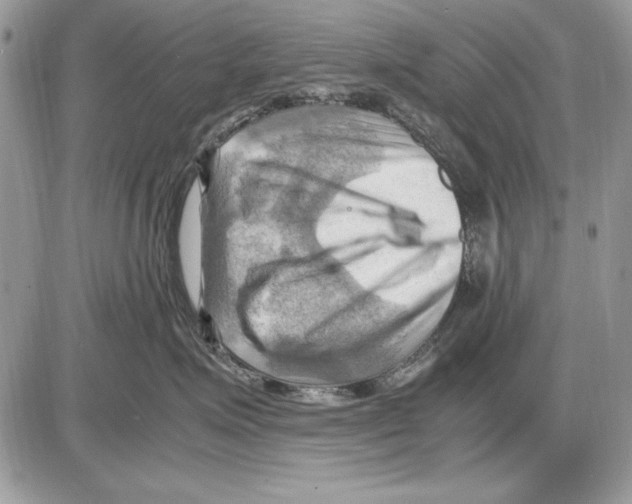 X0000085740623200704131646