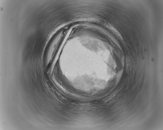 X0000085740628200704131646