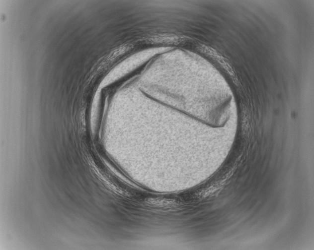 X0000085740633200704131646