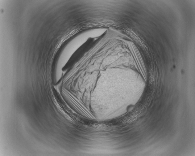 X0000085740634200704131646